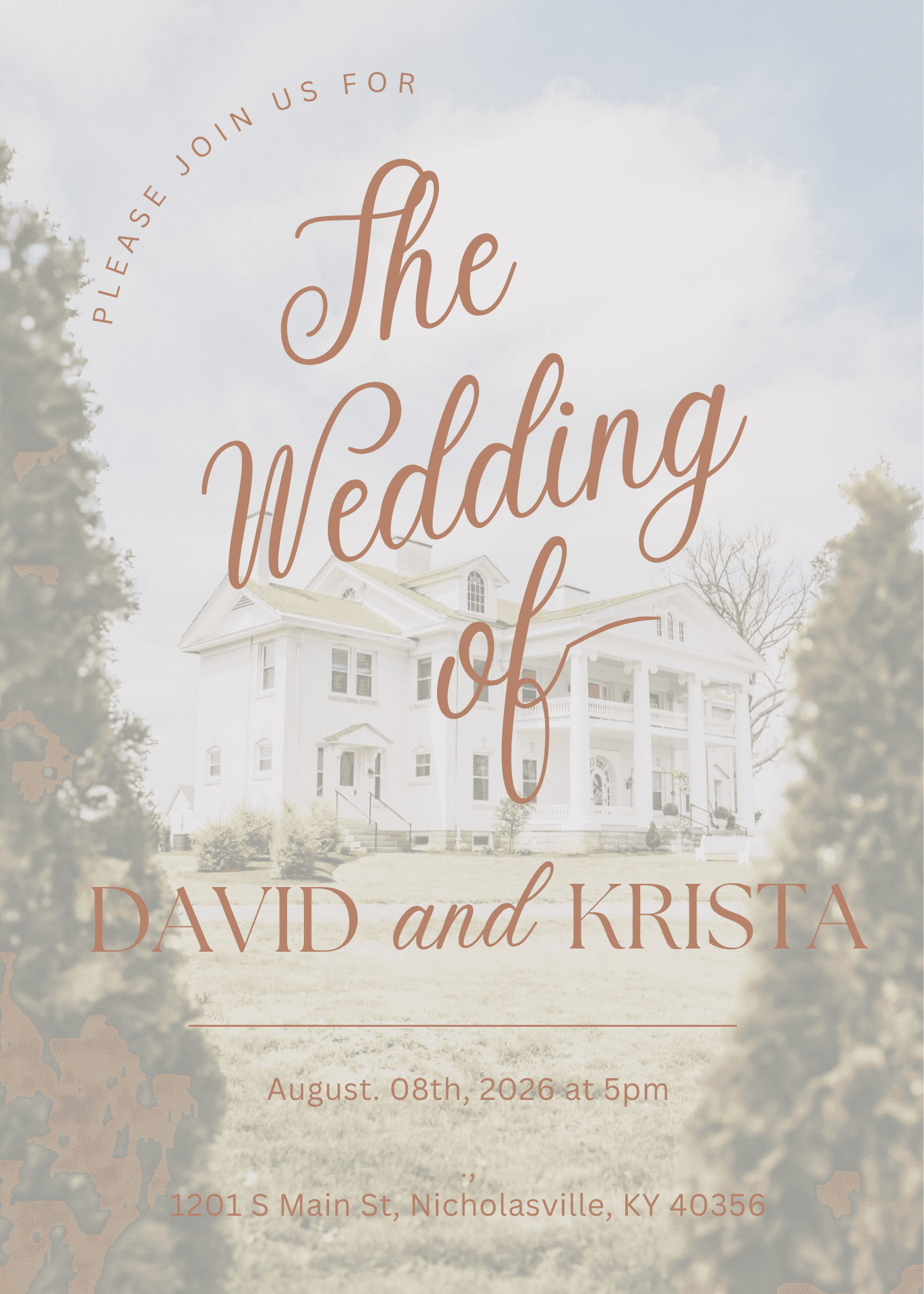 The wedding of David and Krista